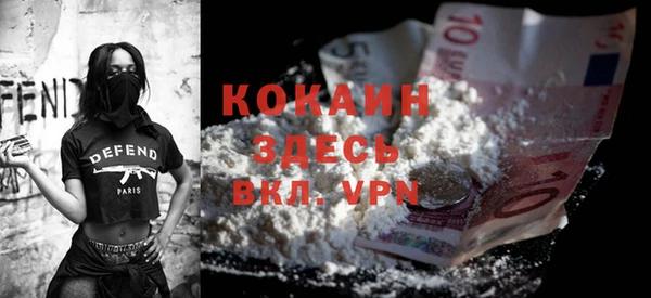 сатива Ростов