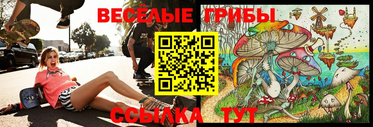 Псилоцибиновые грибы мухоморы  Псилоцибиновые грибы ЛСД  Вход с VPN  Семилуки 